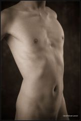 Torso 3332